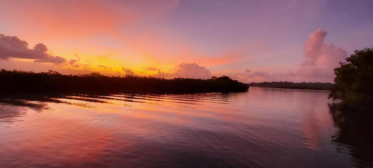 The Sunsetter Bed & Breakfast โบกัสทาวน์ ภายนอก รูปภาพ