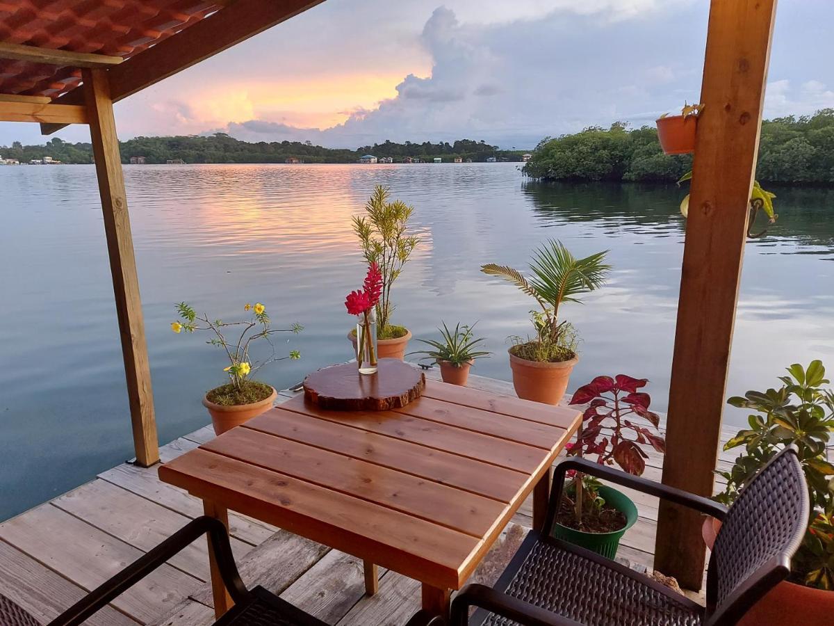 The Sunsetter Bed & Breakfast โบกัสทาวน์ ภายนอก รูปภาพ