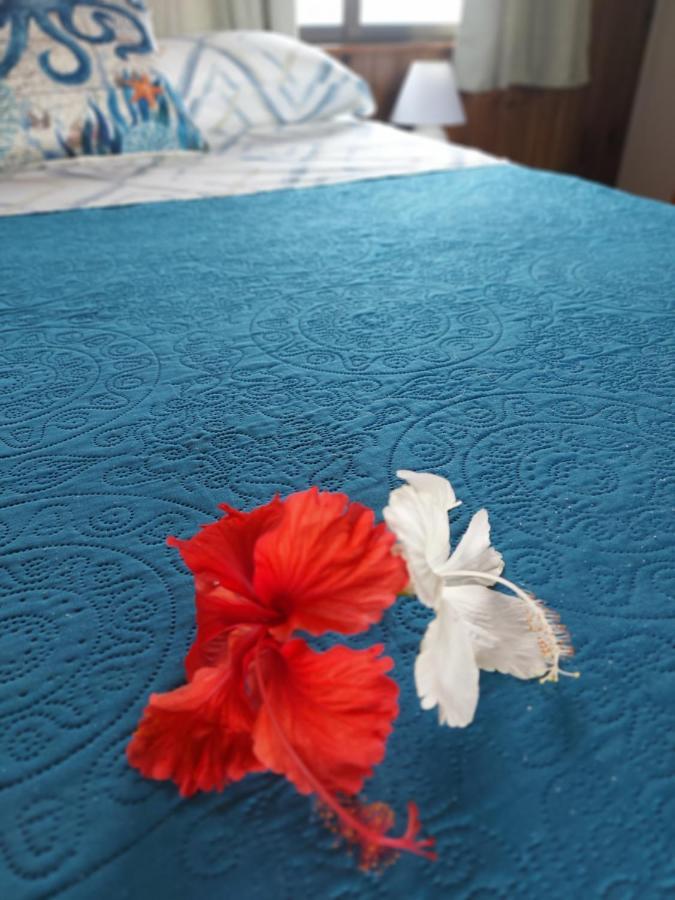The Sunsetter Bed & Breakfast โบกัสทาวน์ ภายนอก รูปภาพ