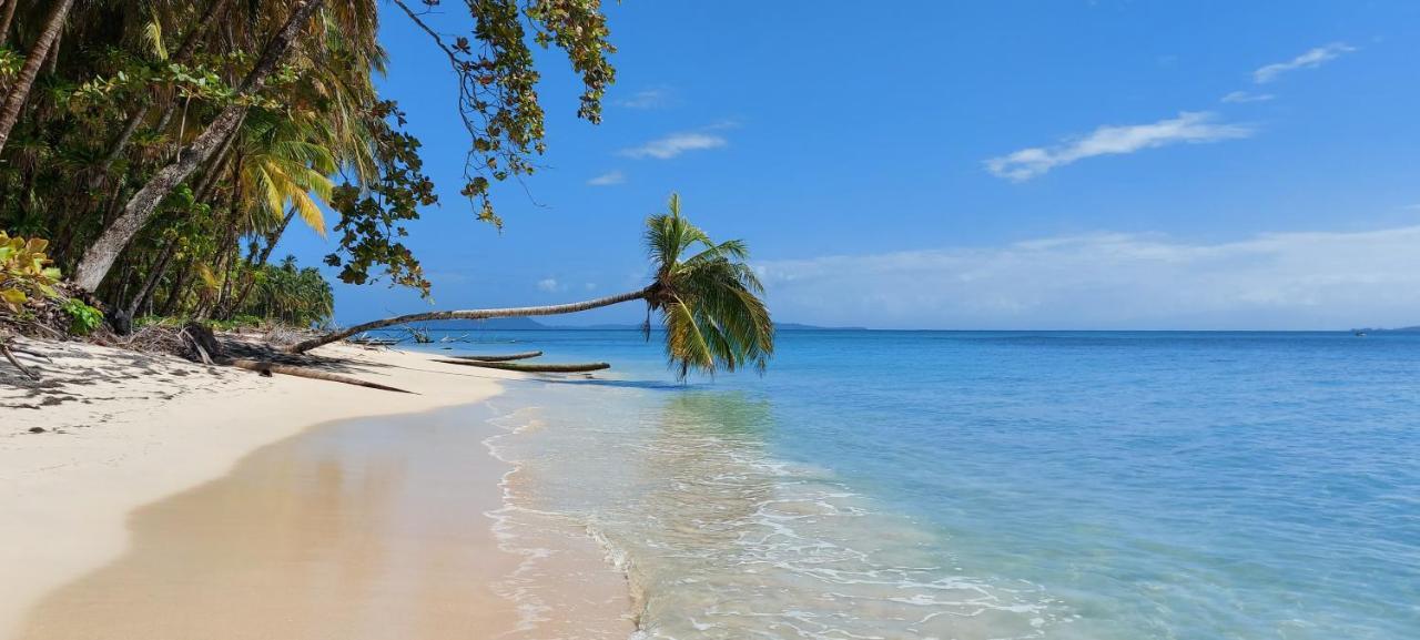 The Sunsetter Bed & Breakfast โบกัสทาวน์ ภายนอก รูปภาพ