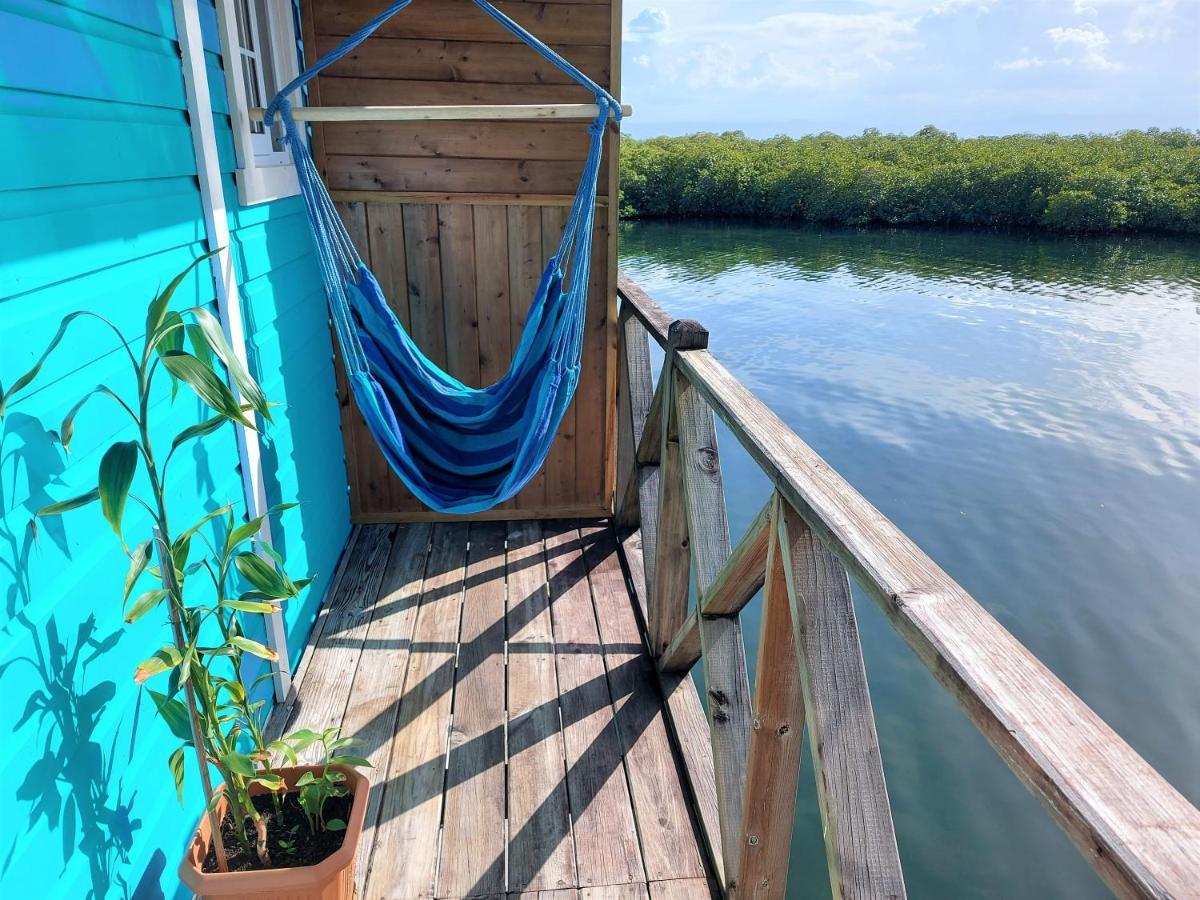 The Sunsetter Bed & Breakfast โบกัสทาวน์ ภายนอก รูปภาพ