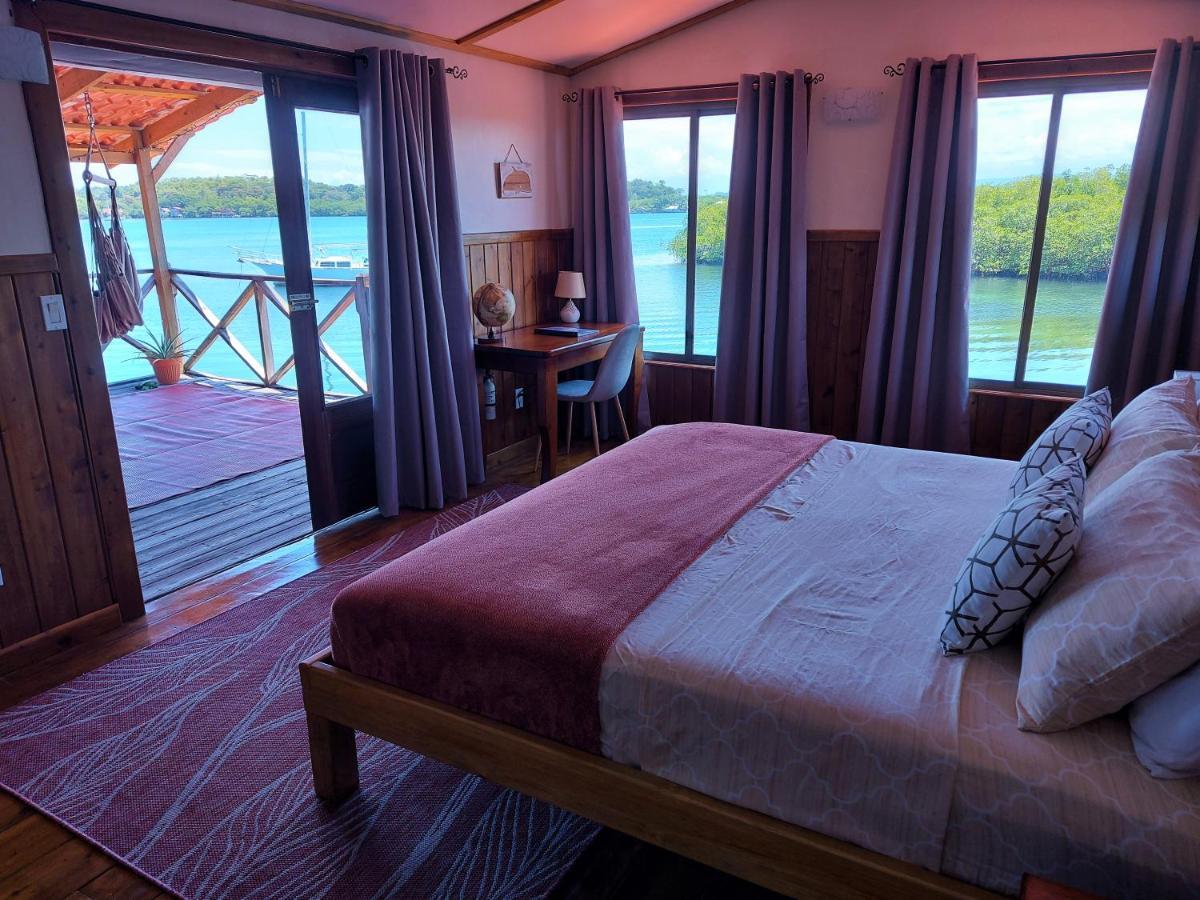 The Sunsetter Bed & Breakfast โบกัสทาวน์ ภายนอก รูปภาพ