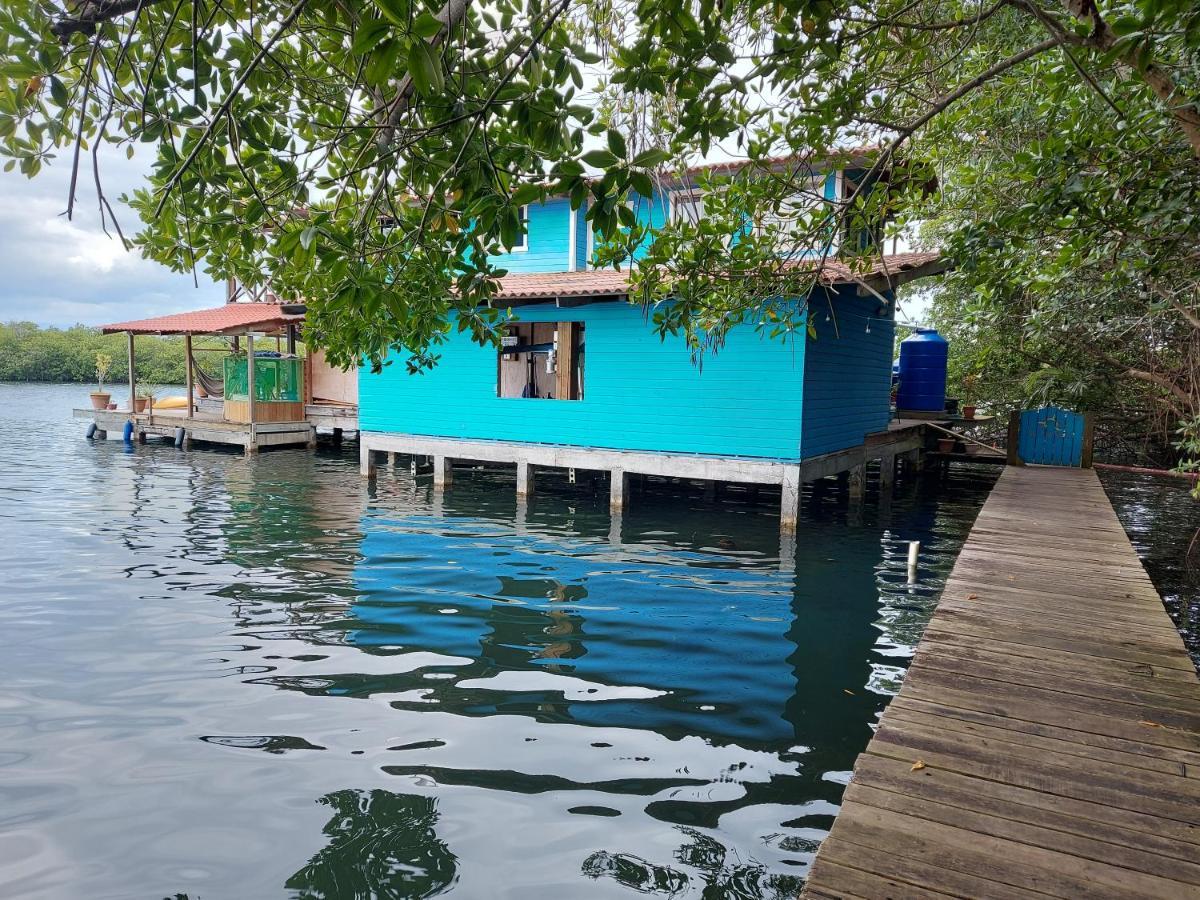 The Sunsetter Bed & Breakfast โบกัสทาวน์ ภายนอก รูปภาพ