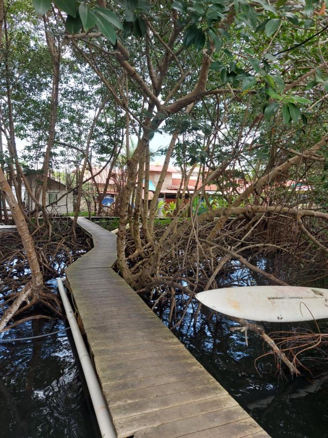 The Sunsetter Bed & Breakfast โบกัสทาวน์ ภายนอก รูปภาพ