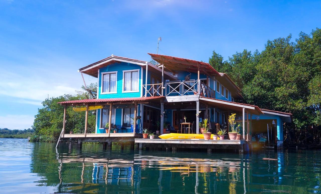 The Sunsetter Bed & Breakfast โบกัสทาวน์ ภายนอก รูปภาพ